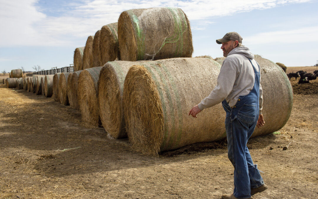 A pipeline company filed hundreds of lawsuits against landowners. Now its project is threatened